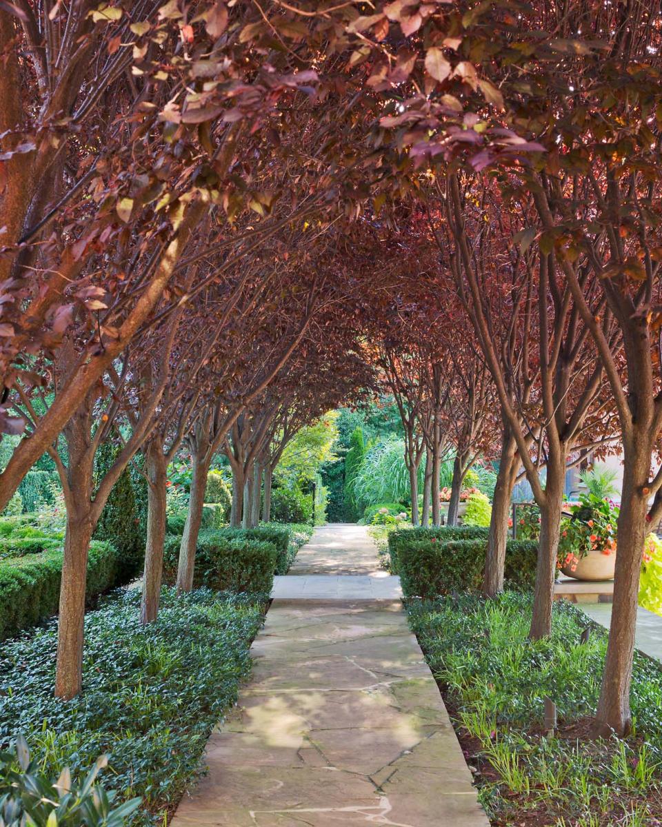 Landscape Architect: DCA Landscape Architects  |  Architect: Barnes Vanze Architects