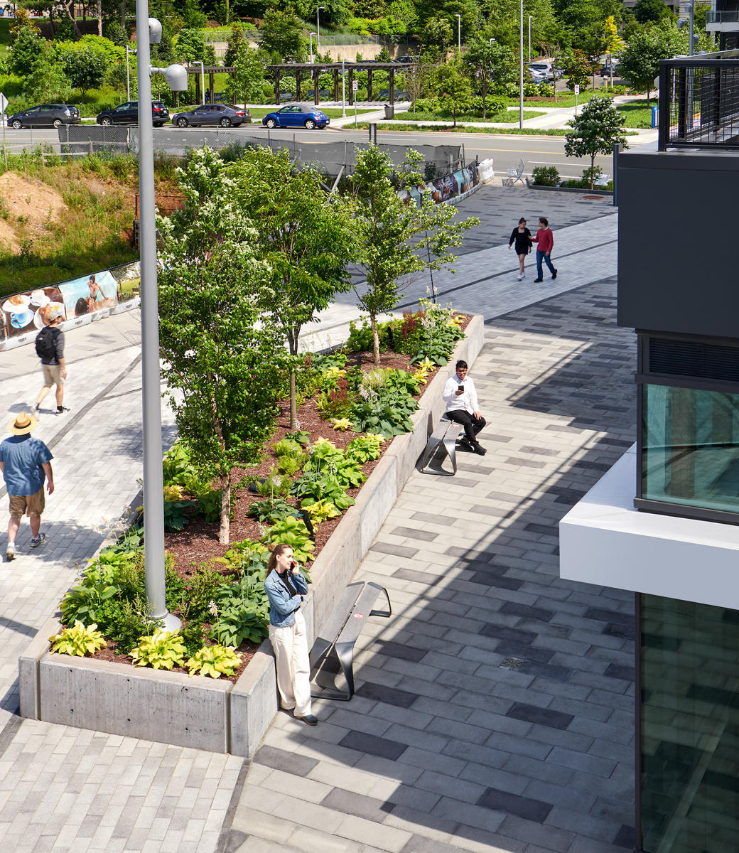 Architect and Landscape: SmithGroup  |  Project: The Heming, Tysons VA
