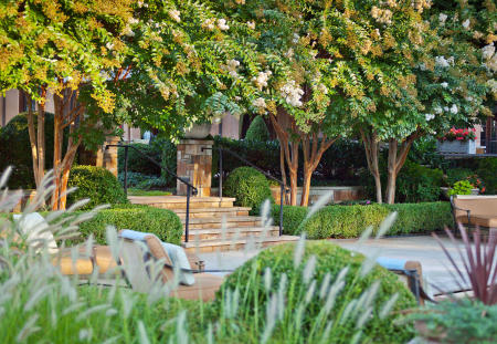 Landscape Architect: DCA Landscape Architects  |  Architect: Barnes Vanze Architects