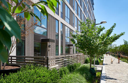 Clients: STUDIOS Architecture and Arban Carosi | Project: The Estate, Washington DC