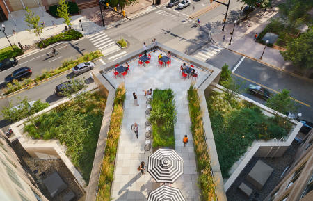 Landscape Architect: Oehme, van Sweden | Project: Ballston Exchange 