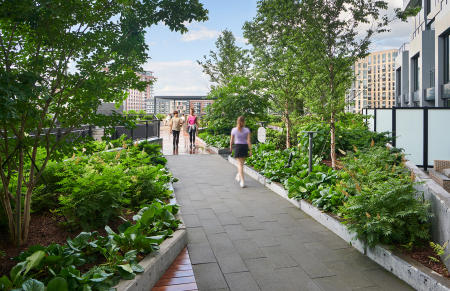 Architect and Landscape: SmithGroup  |  Project: The Heming, Tysons VA