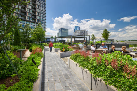 Architect and Landscape: SmithGroup  |  Project: The Heming, Tysons VA