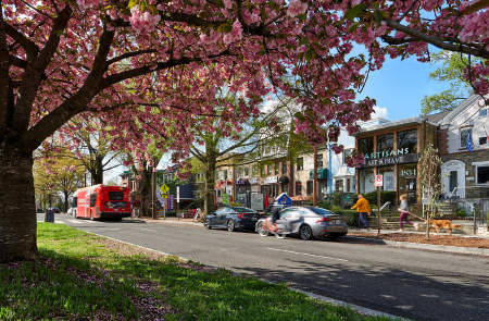 Client: Palisades Main Street | Project: MacArthur Blvd commercial corridor